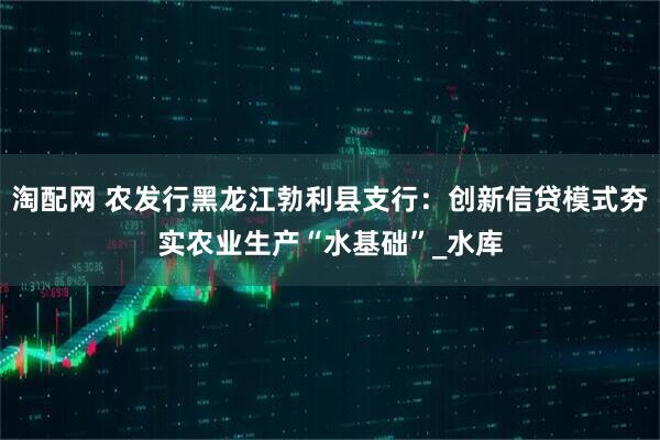 淘配网 农发行黑龙江勃利县支行：创新信贷模式夯实农业生产“水基础”_水库