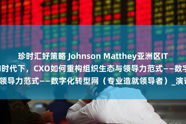 珍时汇好策略 Johnson Matthey亚洲区IT负责人Vincent Fang：AI时代下，CXO如何重构组织生态与领导力范式——数字化转型网（专业造就领导者）_演讲_Pannel_主题