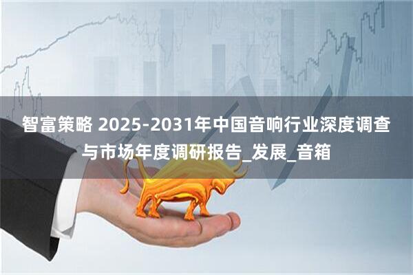 智富策略 2025-2031年中国音响行业深度调查与市场年度调研报告_发展_音箱