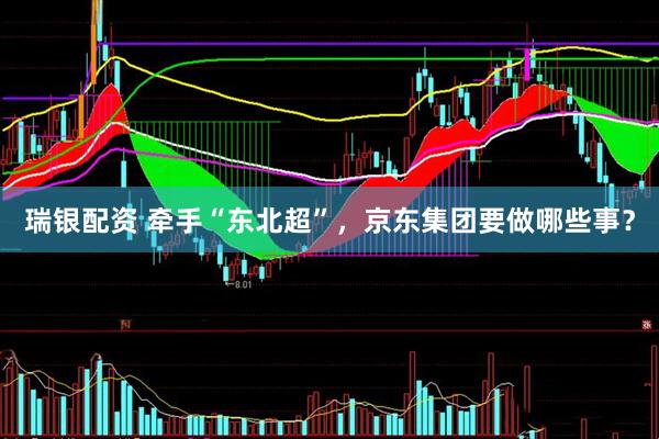 瑞银配资 牵手“东北超”，京东集团要做哪些事？